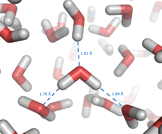 6. Water, Hydrogen Bonds & the Hydrophobic Interaction — Force and ...